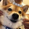 AFfmaAQSSVRif